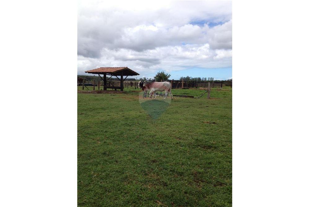 Chácara / Sítio / Fazenda - Venda - Mucuri , Bahia - 8 - 580411006-263