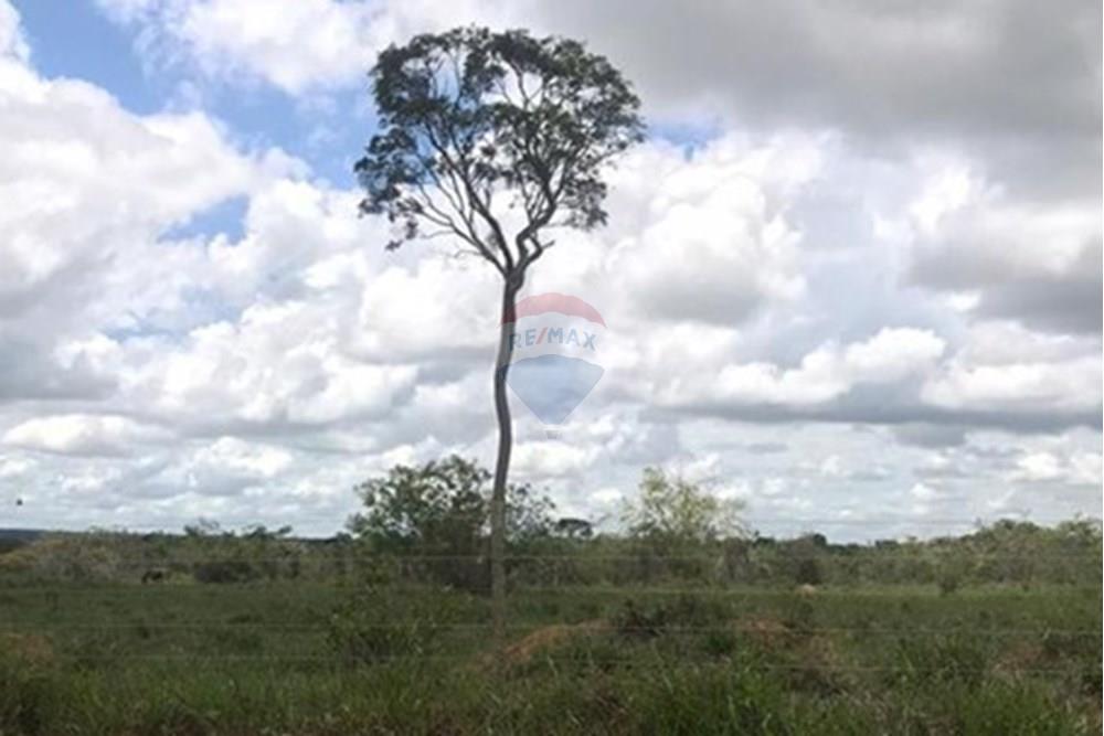 Chácara / Sítio / Fazenda - Venda - Vitória da Conquista , Bahia - WhatsApp Image 2025-05-29 at 14.13.50 (1).jpeg - 580831002-80