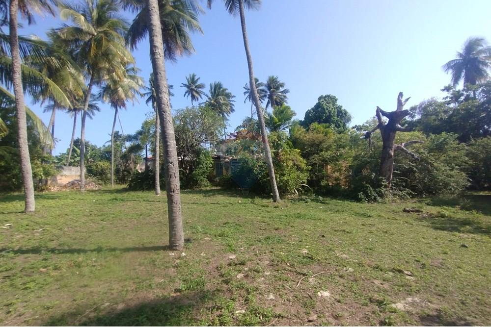 Terreno - Venda - Vera Cruz , Bahia - WhatsApp Image 2024-11-23 at 06.42.41.jpeg - 580401026-39