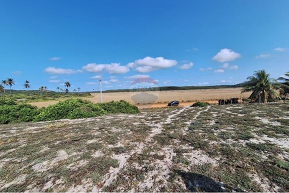 Terreno - Venda - Conde , Bahia - terrenoavendaemsitiodoconde580691012-93_05.jpg - 580691012-93