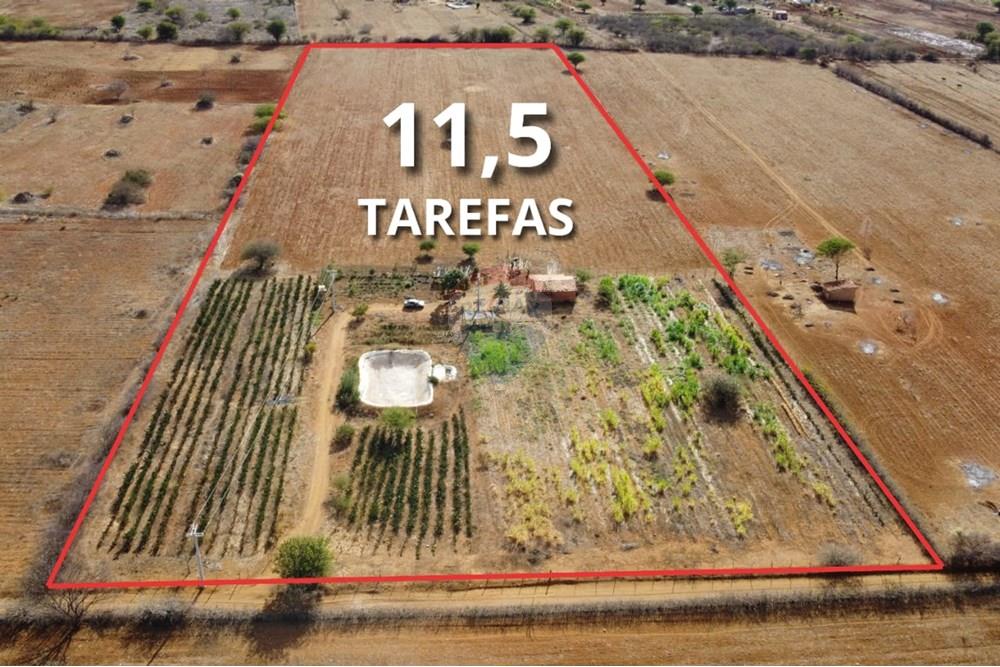 Terreno - Venda - Irecê , Bahia - eda2a745-1aaf-441f-b047-4ee26d16cb1e.jpeg - 580841008-85