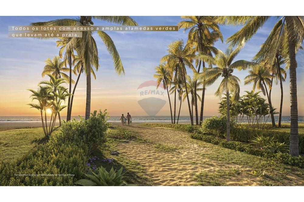 Terreno - Venda - Mata de São João , Bahia - PFS 0002 25 V Book Digital B&A 1920x1080 AF_page-0006.jpg - 580781008-2