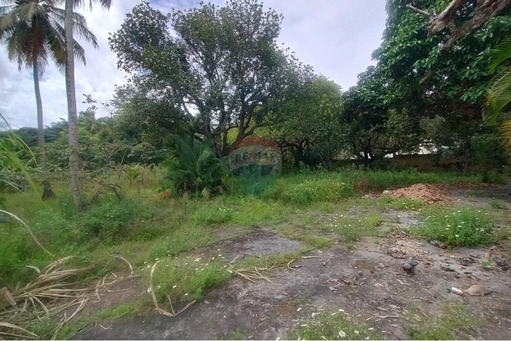 Terreno - Venda - Camaçari , Bahia - WhatsApp Image 2025-10-28 at 14.54.21 (2).jpeg - 580561046-234