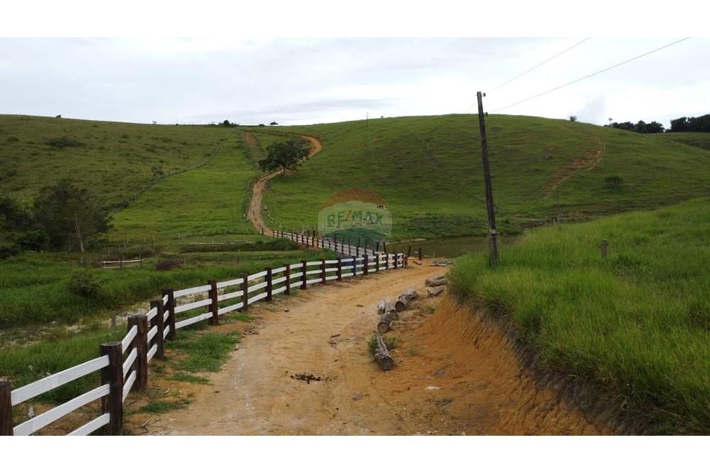 Chácara / Sítio / Fazenda - Venda - Itamaraju , Bahia - WhatsApp Image 2025-02-23 at 10.01.54.jpeg - 580751001-262