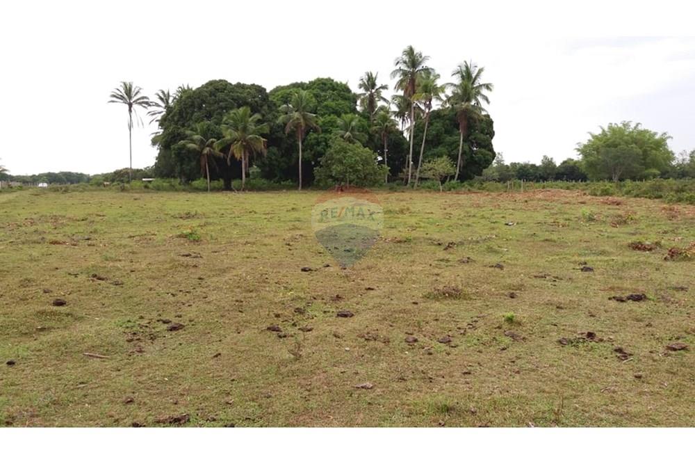 Chácara / Sítio / Fazenda - Venda - Caravelas , Bahia - WhatsApp Image 2025-07-11 at 09.20.09.jpeg - 580411006-269