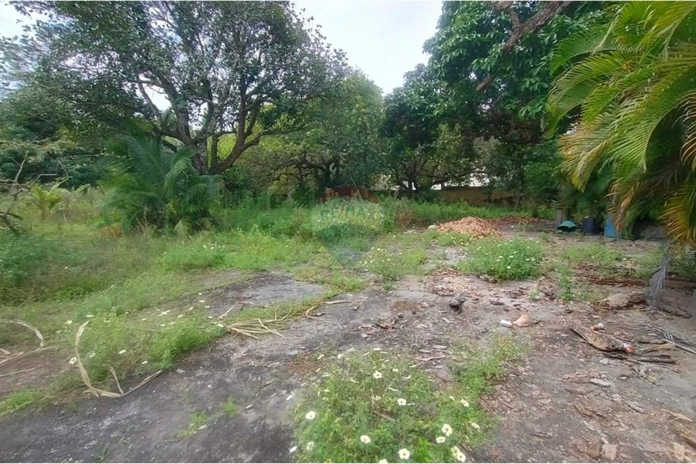 Terreno - Venda - Camaçari , Bahia - WhatsApp Image 2025-10-28 at 14.54.21 (1).jpeg - 580561046-234