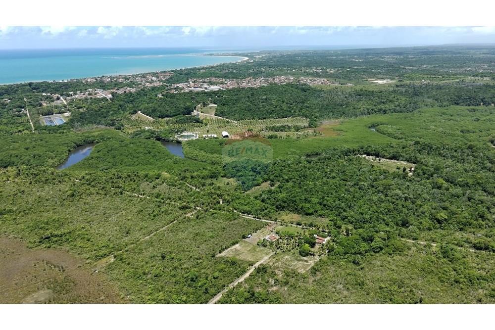 Agro - Venda - Santa Cruz Cabrália , Bahia - IMG-20250309-WA0014.jpg - 580581034-35