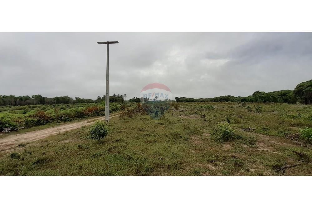 Chácara / Sítio / Fazenda - Venda - Caravelas , Bahia - WhatsApp Image 2025-07-11 at 09.20.10 (3).jpeg - 580411006-269