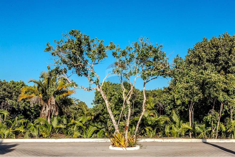 Terreno - Venda - Prado , Bahia - 3a048110-c51a-11ef-80ca-b10b0ae2a949.jpg - 580751001-193