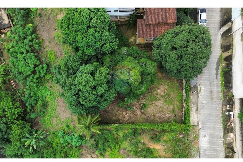 Terreno - Venda - Itamaraju , Bahia - Imagem do WhatsApp de 2025-06-24 à(s) 09.37.13_61f605eb.jpg - 580751013-63