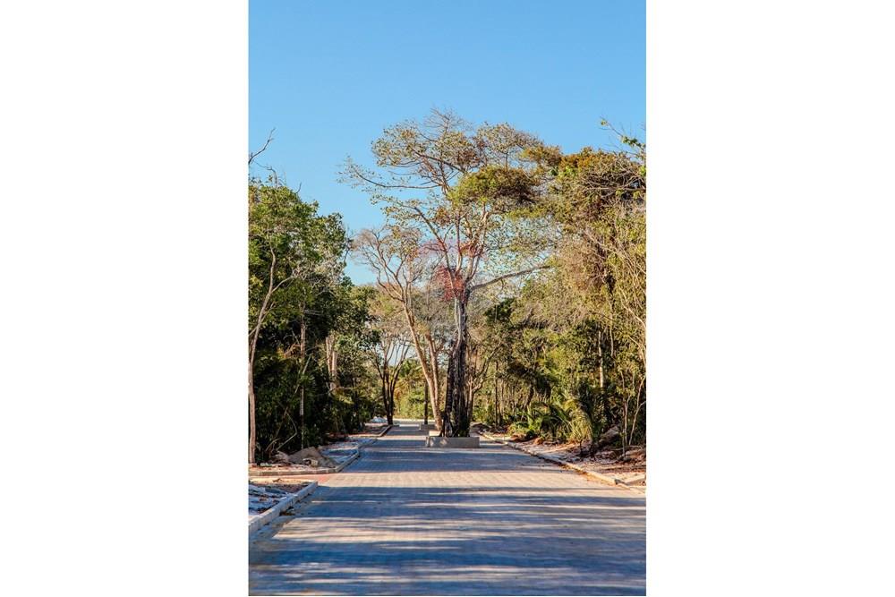 Terreno - Venda - Prado , Bahia - 3271e000-c51a-11ef-80ca-b10b0ae2a949.jpg - 580751001-193