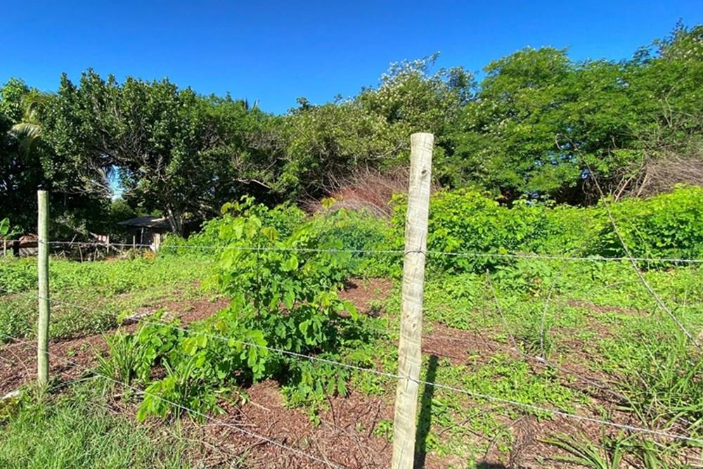 Terreno - Venda - Mata de São João , Bahia - fb20b15f-30a3-4568-abaf-55ce76d2c25a.jpg - 580601014-64