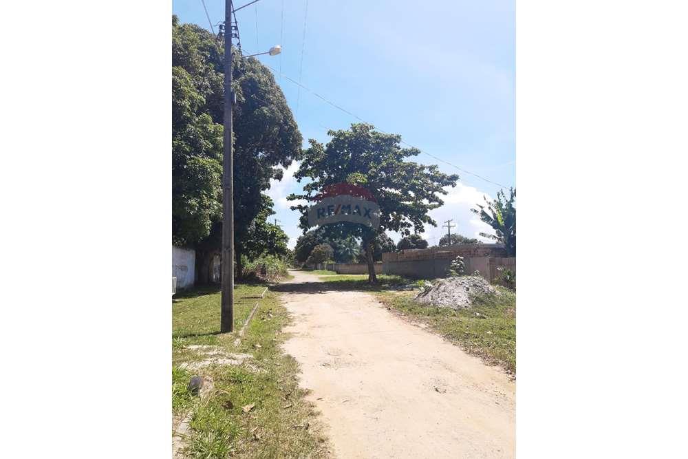 Casa de Condomínio - Alugar - Camaçari , Bahia - WhatsApp Image 2024-05-29 at 19.11.17.jpeg - 580561046-207