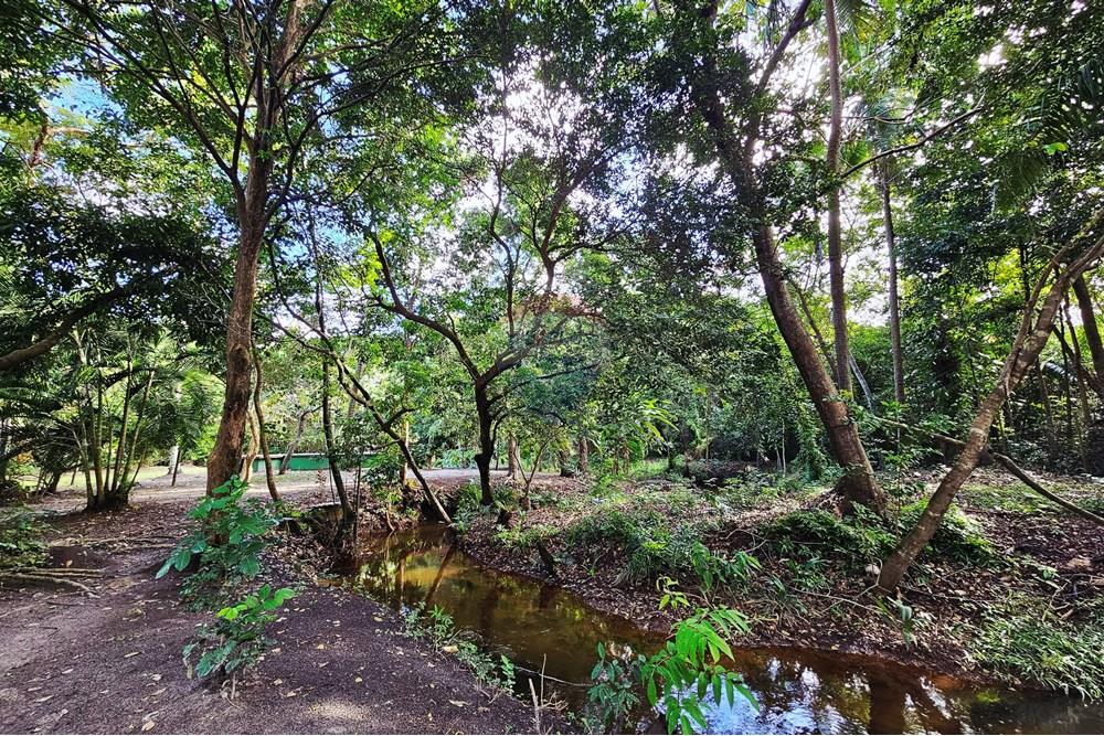 Apartamento - Venda - Mata de São João , Bahia - 20250827_153639.jpg - 580491031-40