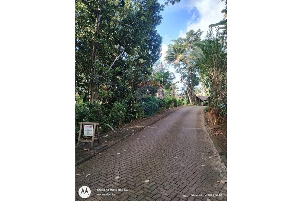 Terreno - Venda - Itacaré , Bahia - WhatsApp Image 2025-10-01 at 13.39.02 (1).jpeg - 580331013-747