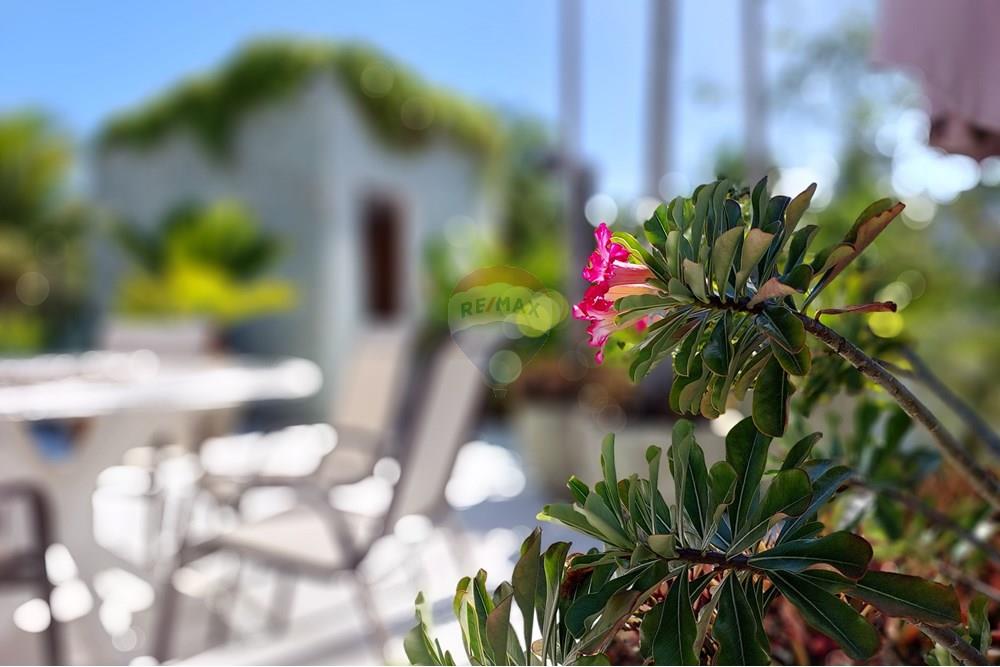 Casa de Condomínio - Venda - Camaçari , Bahia - 20241108_142155.jpg - 580761036-21