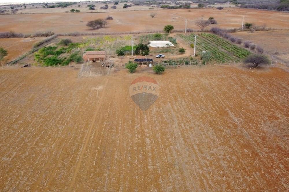 Terreno - Venda - Irecê , Bahia - e26bb369-def3-44e1-b2bf-43b6db9b40c0.jpeg - 580841008-85