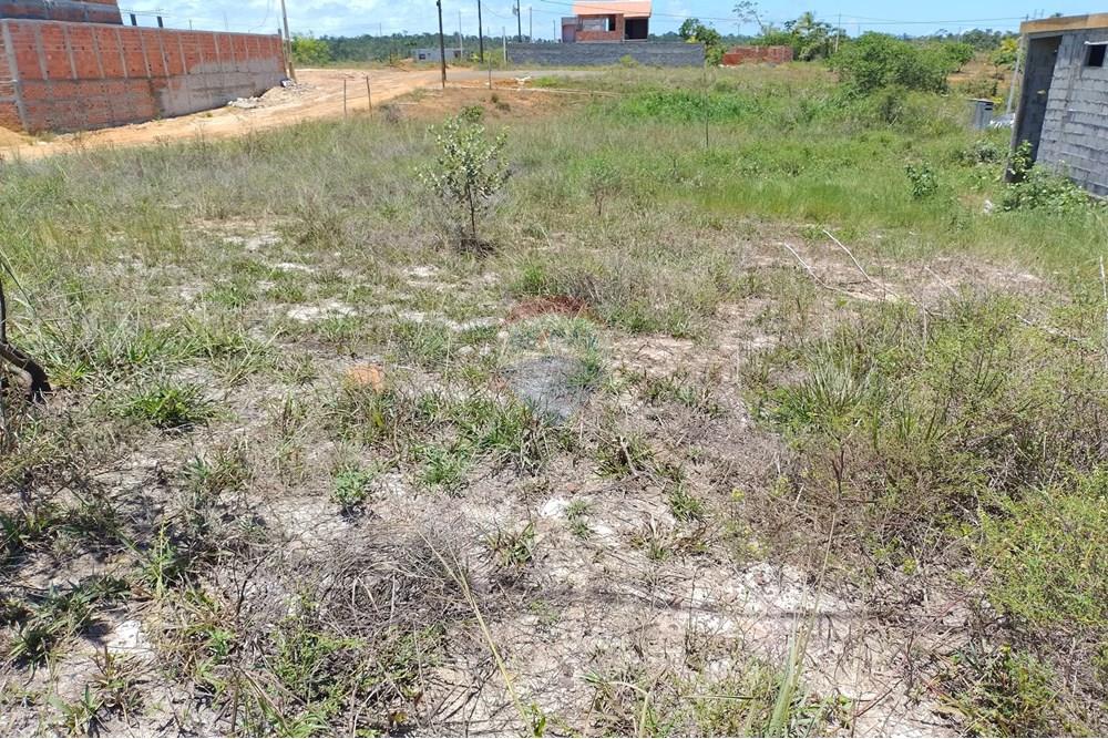 Terreno - Venda - Camaçari , Bahia - IMG_20240214_120713700.jpg - 580551064-42