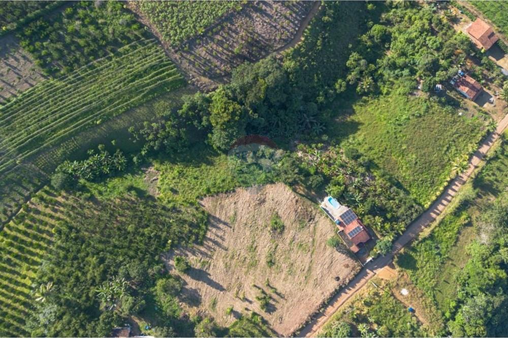 Chácara / Sítio / Fazenda - Venda - Santo Antônio de Jesus , Bahia - DJI_0792.jpg - 580341015-99