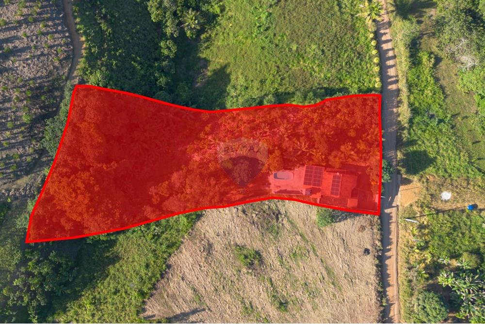 Chácara / Sítio / Fazenda - Venda - Santo Antônio de Jesus , Bahia - MARCAÇÃO.jpg - 580341015-99