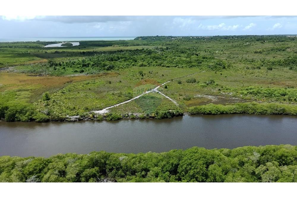 Agro - Venda - Santa Cruz Cabrália , Bahia - IMG-20250309-WA0017.jpg - 580581034-35