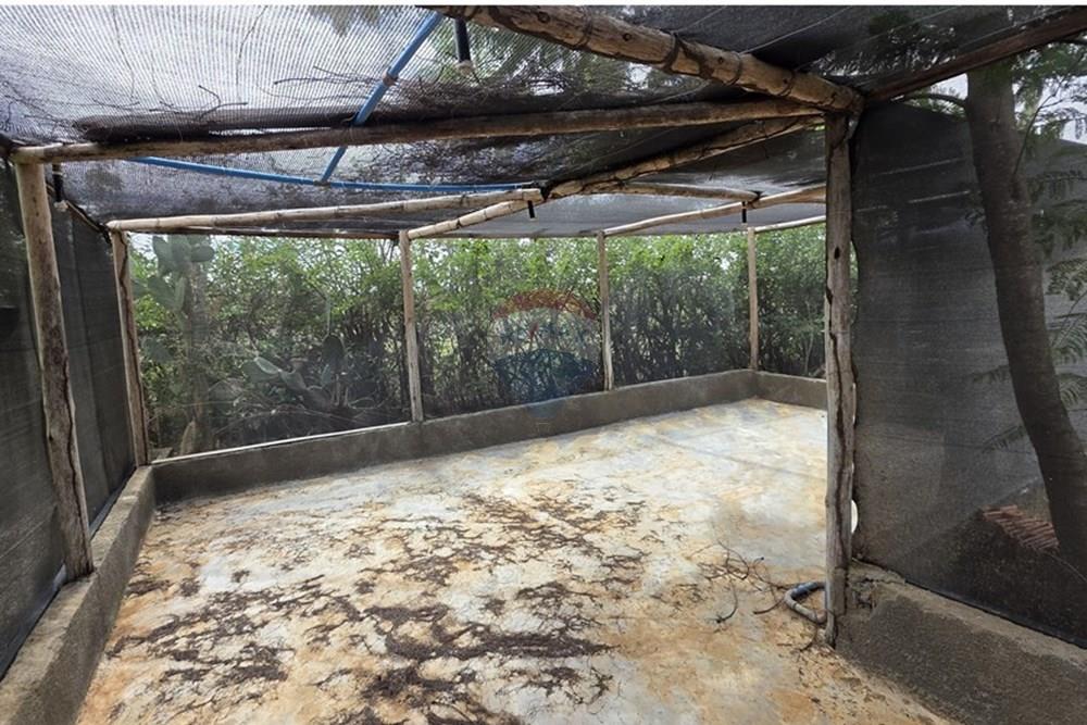 Chácara / Sítio / Fazenda - Venda - Irecê , Bahia - IMG-20250423-WA0061.jpg - 580841009-15