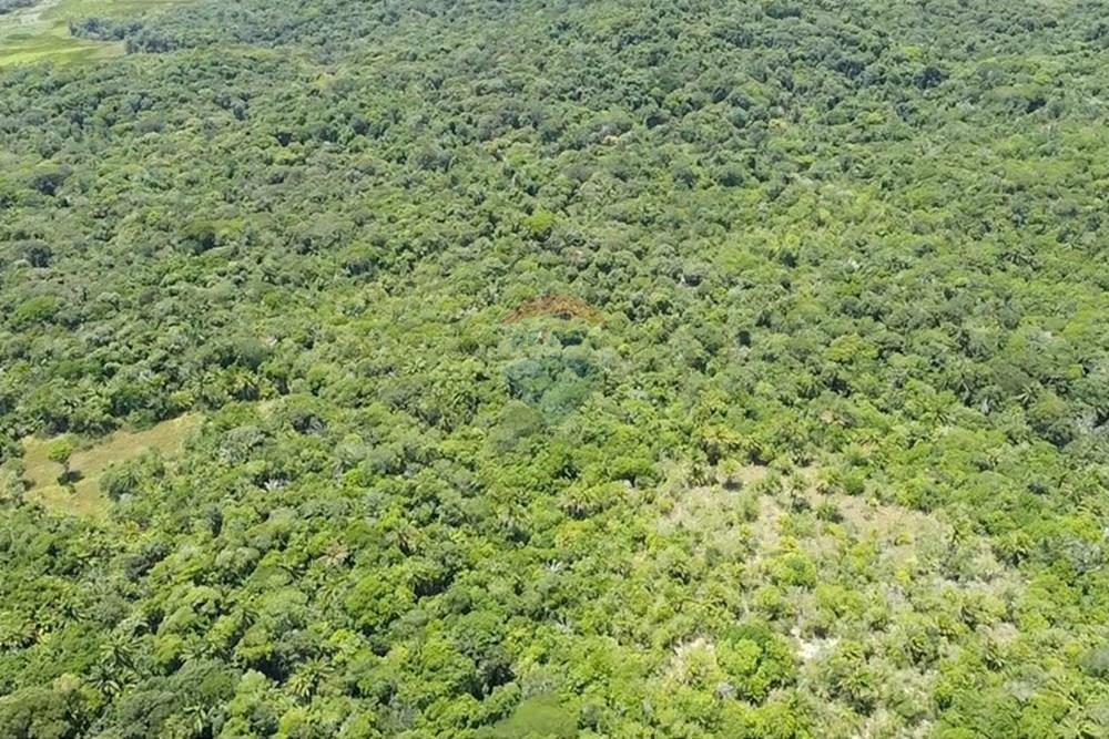 Terreno - Venda - Vera Cruz , Bahia - dji_fly_20250215_110049_0_1739628049744_photo_low_quality.jpg - 580401002-406