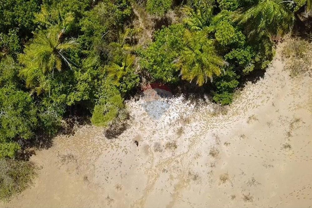 Terreno - Venda - Vera Cruz , Bahia - dji_fly_20250215_105537_0_1739627737185_photo_low_quality.jpg - 580401002-406