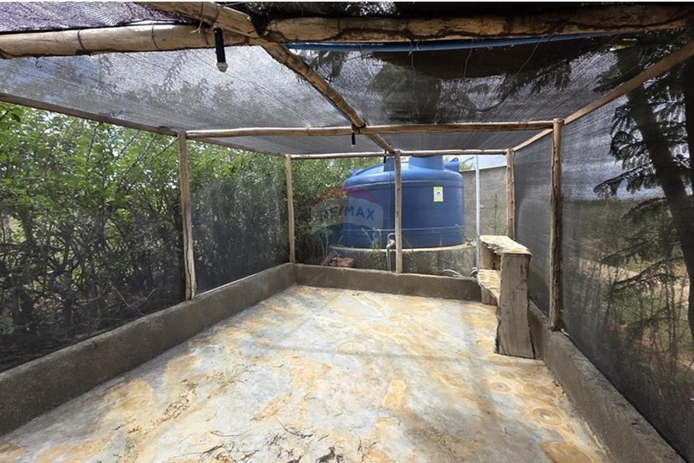 Chácara / Sítio / Fazenda - Venda - Irecê , Bahia - IMG-20250423-WA0056.jpg - 580841009-15