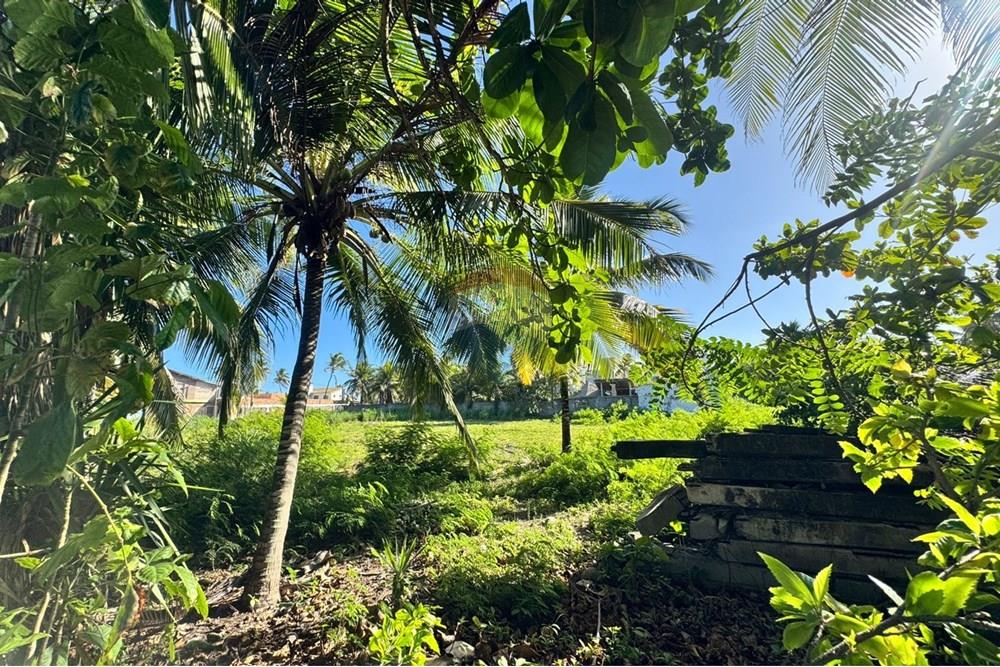 Terreno - Venda - Camaçari , Bahia - WhatsApp Image 2024-12-05 at 16.08.49.jpeg - 580781002-15