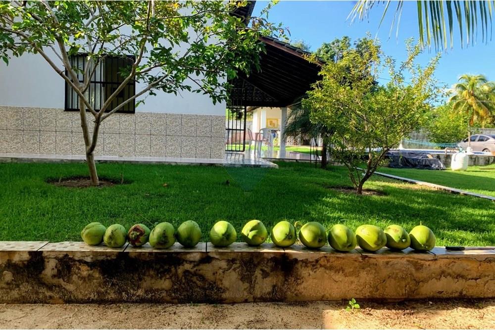 Casa de Condomínio - Venda - Camaçari , Bahia - WhatsApp Image 2025-03-20 at 14.25.31.jpeg - 580421097-8