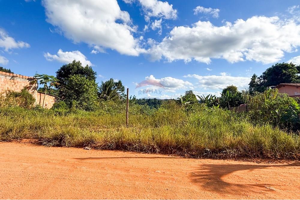 Terreno - Venda - Santo Antônio de Jesus , Bahia - IMG_0943.jpg - 580341015-91