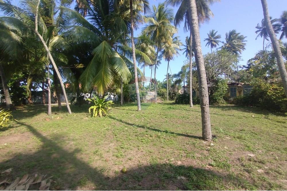 Terreno - Venda - Vera Cruz , Bahia - WhatsApp Image 2024-11-23 at 06.42.40 (1).jpeg - 580401026-39