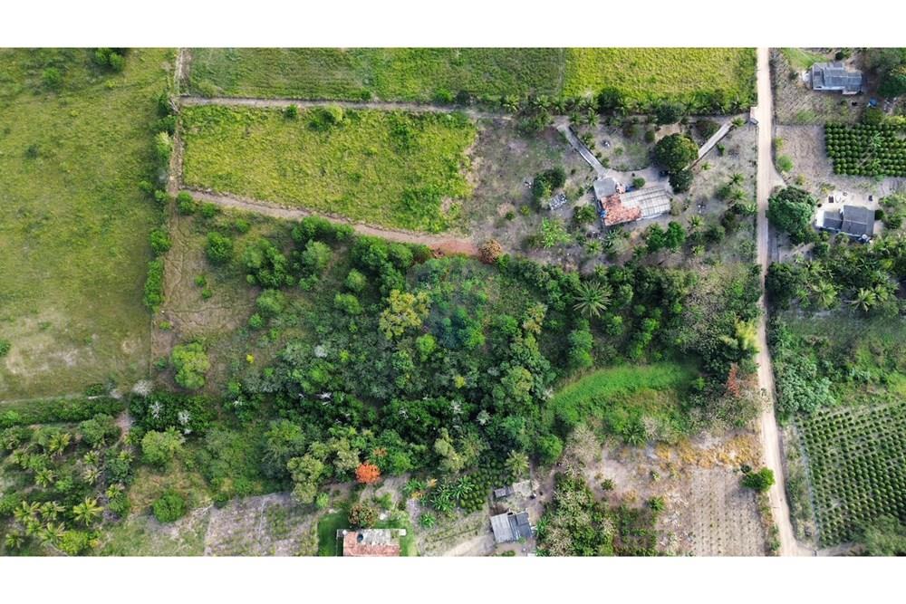 Chácara / Sítio / Fazenda - Venda - Prado , Bahia - Imagem do WhatsApp de 2025-08-25 à(s) 11.02.06_8a128d8d.jpg - 580751013-70