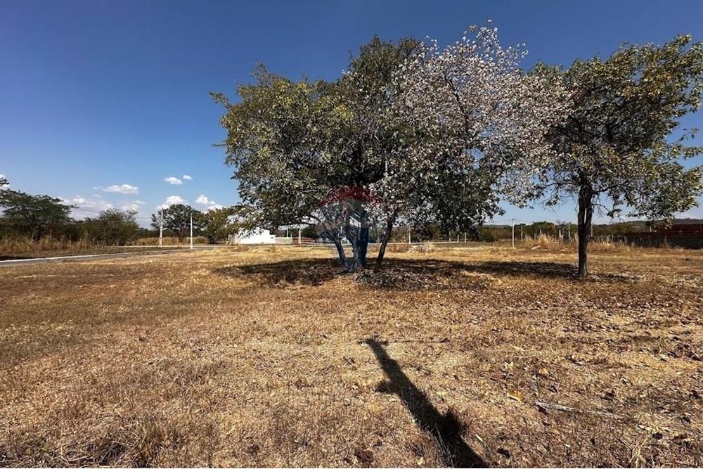 Terreno - Venda - Barreiras , Bahia - IMG-20241117-WA0008.jpg - 580651049-89