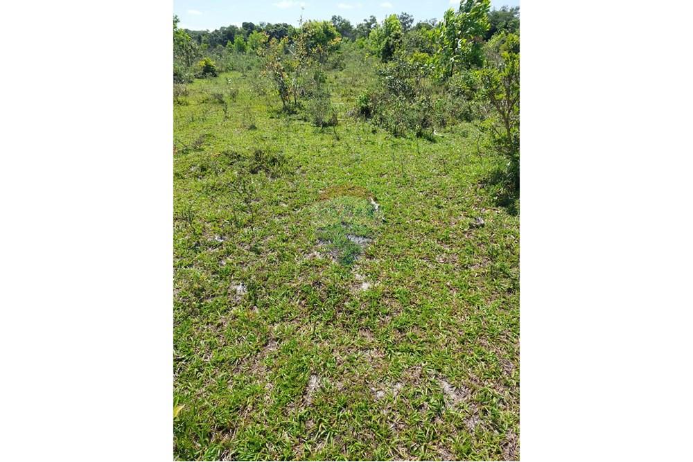 Chácara / Sítio / Fazenda - Venda - Caravelas , Bahia - WhatsApp Image 2025-07-11 at 09.20.08 (1).jpeg - 580411006-269