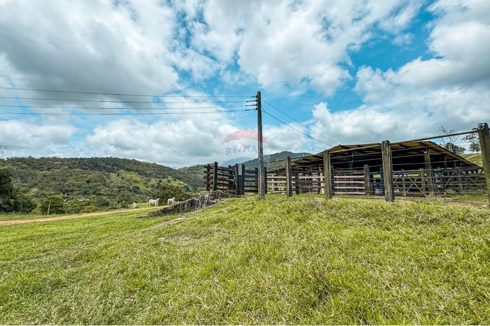 Chácara / Sítio / Fazenda - Venda - Ubaíra , Bahia - WhatsApp Image 2024-12-17 at 14.37.12.jpeg - 580341012-76