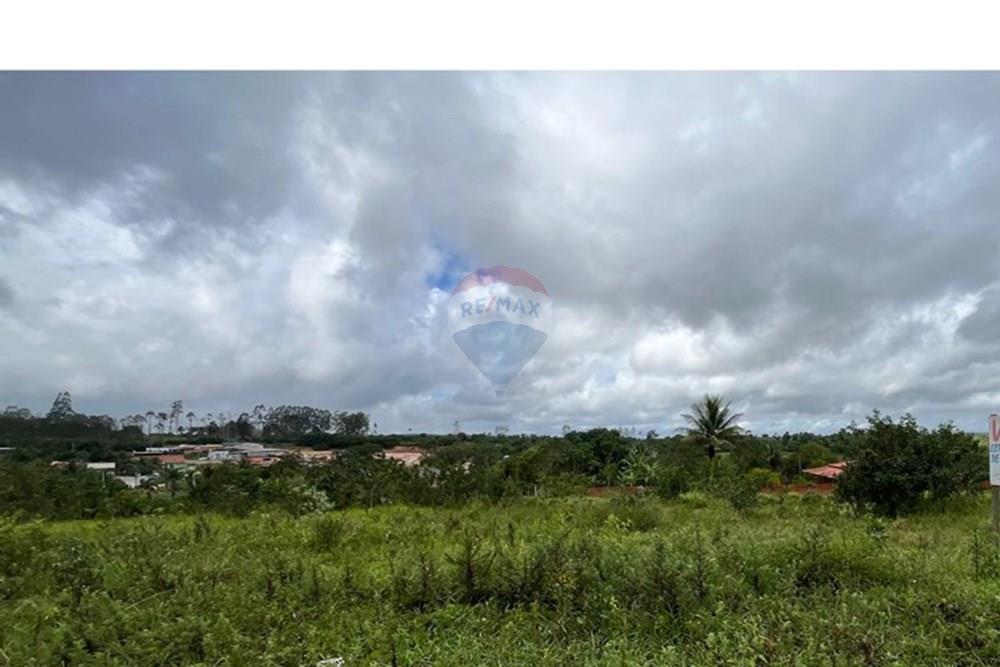 Terreno - Venda - Aramari , Bahia - WhatsApp Image 2025-07-28 at 09.30.47.jpeg - 580701044-20