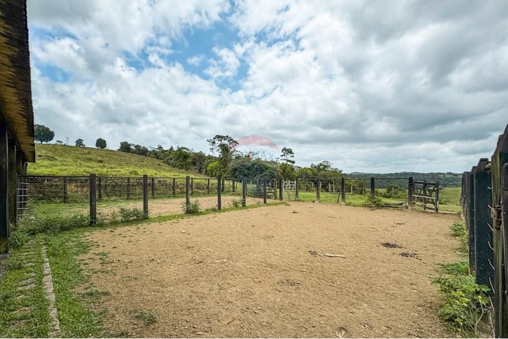 Chácara / Sítio / Fazenda - Venda - Ubaíra , Bahia - WhatsApp Image 2024-12-17 at 14.37.10 (1).jpeg - 580341012-76