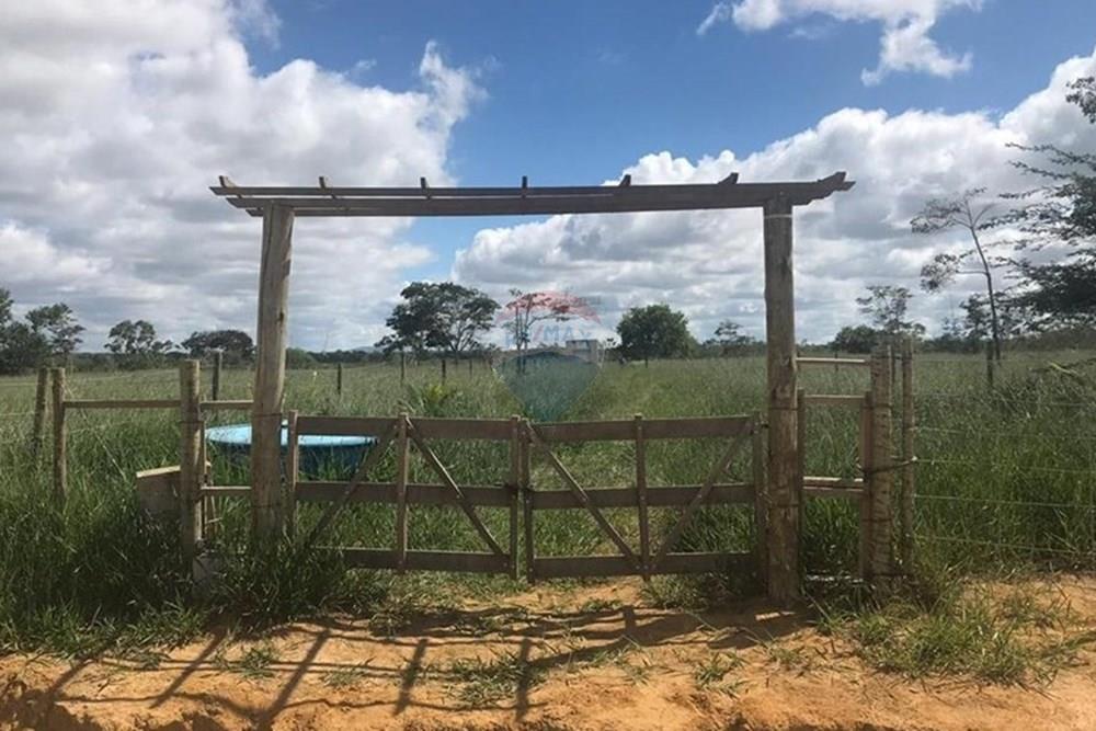 Chácara / Sítio / Fazenda - Venda - Vitória da Conquista , Bahia - WhatsApp Image 2025-05-29 at 14.13.47 (1).jpeg - 580831002-80