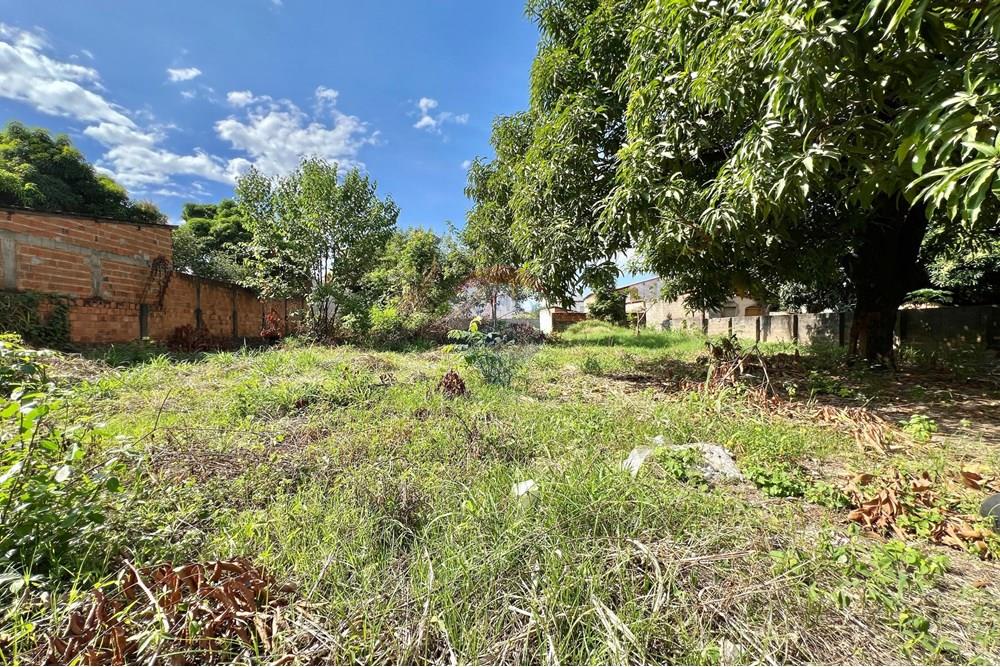 Terreno - Venda - Barreiras , Bahia - WhatsApp Image 2025-04-14 at 15.58.56.jpeg - 580651041-77