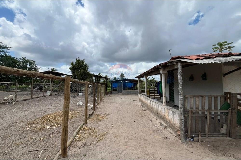 Chácara / Sítio / Fazenda - Venda - Alagoinhas , Bahia - WhatsApp Image 2025-10-16 at 11.19.29 (3).jpeg - 580701011-7