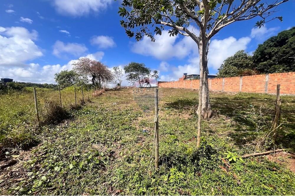 Terreno - Venda - Camaçari , Bahia - IMG_2933.jpg - 580491009-99