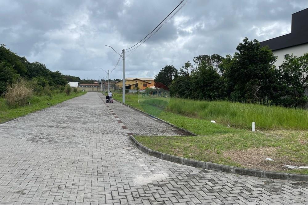 Terreno - Venda - Vera Cruz , Bahia - WhatsApp Image 2025-07-14 at 19.59.41.jpeg - 580401026-67