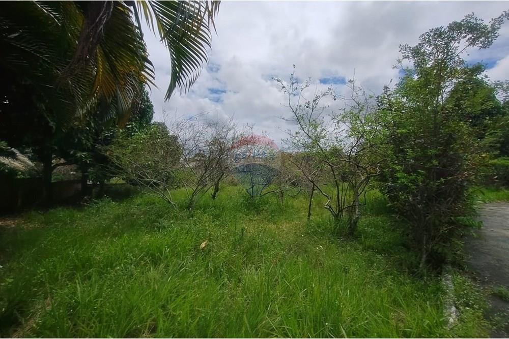 Terreno - Venda - Camaçari , Bahia - WhatsApp Image 2025-10-28 at 14.54.23 (2).jpeg - 580561046-234