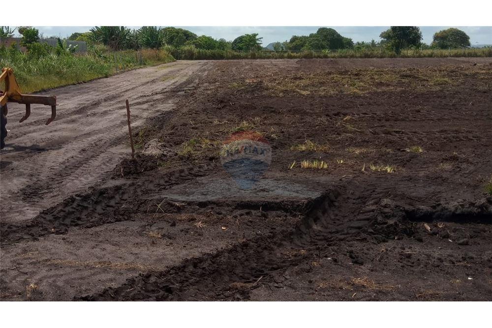 Terreno - Venda - Salinas da Margarida , Bahia - 7 - 580401002-399