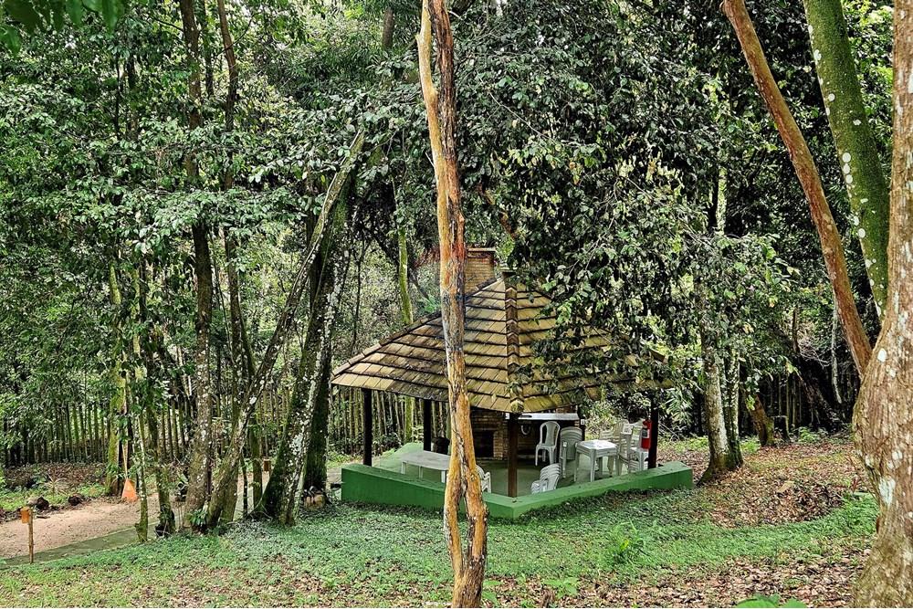 Apartamento - Alugar - Mata de São João , Bahia - 20250725_102142.jpg - 580491048-130