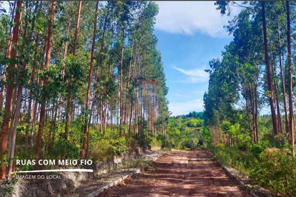 Terreno - Venda - Itanagra , Bahia - Design sem nome (2).jpg - 580881006-7