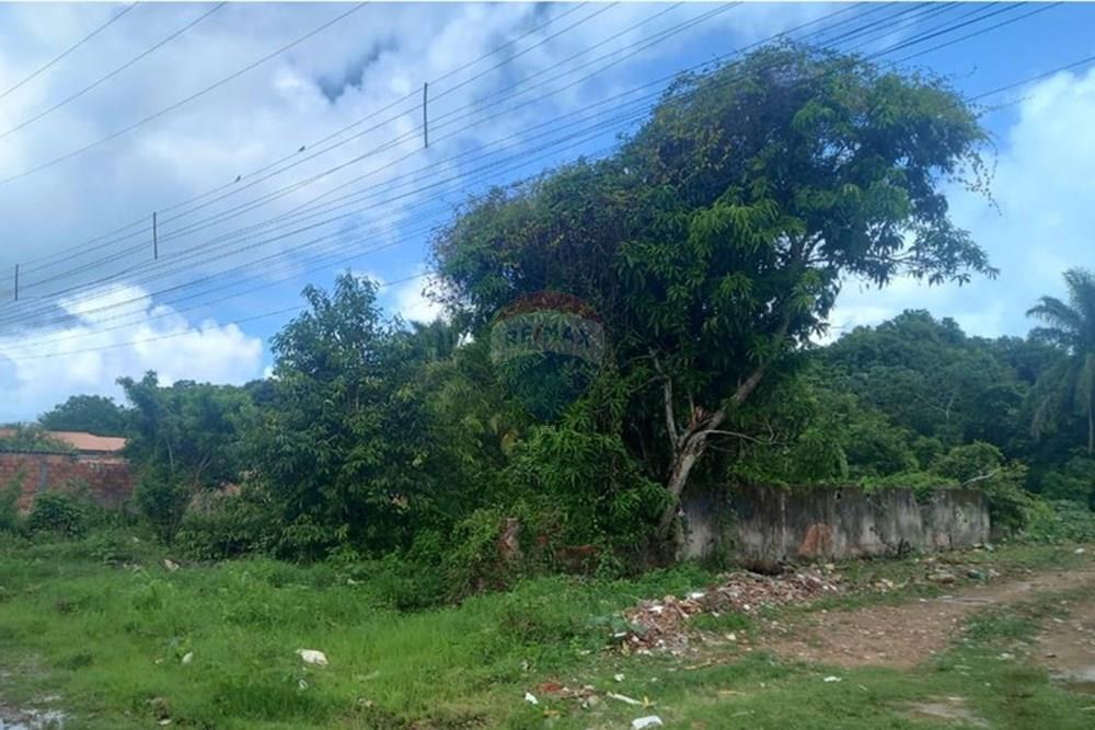 Terreno - Venda - Itaparica , Bahia - WhatsApp Image 2025-03-17 at 14.06.46 (1).jpeg - 580401026-48