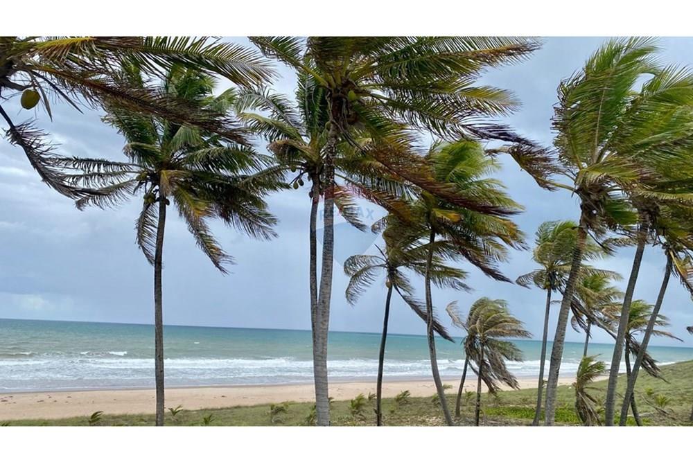 Terreno - Venda - Entre Rios , Bahia - 2980a942-f01b-40c1-b6a6-e7828e197af1.jpg - 580601014-53